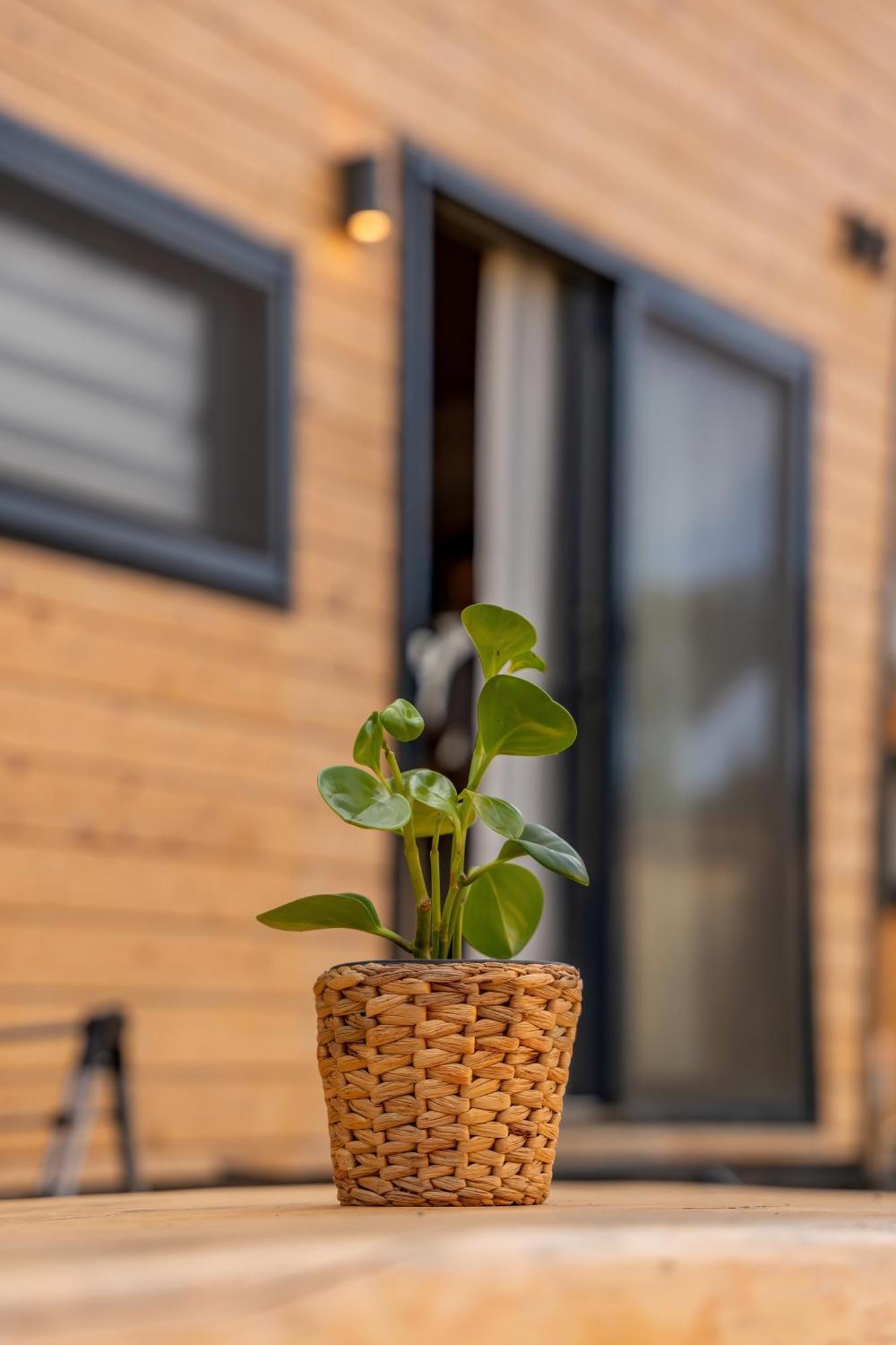 Gaia Tiny Houses Butik Hotel Бодрум Экстерьер фото